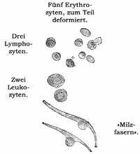 Fig. 121.