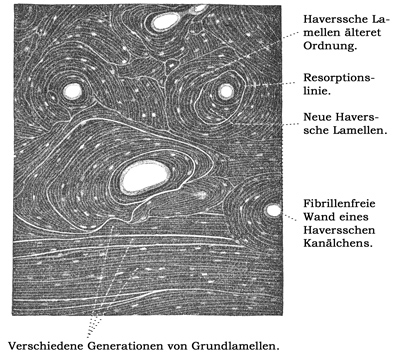 Fig. 135.