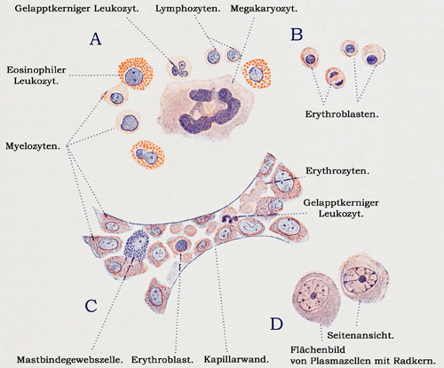 Fig. 137.