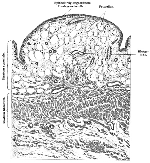 Fig. 141.