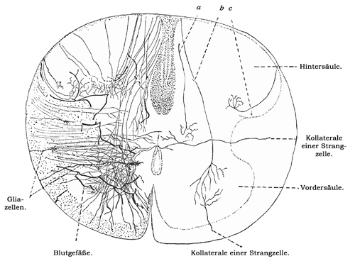 Fig. 147.