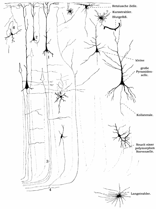 Fig. 152.