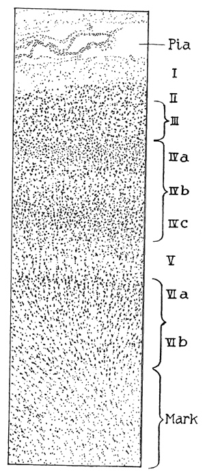 Fig. 154.