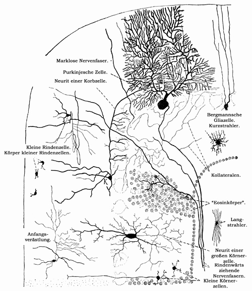 Fig. 156.
