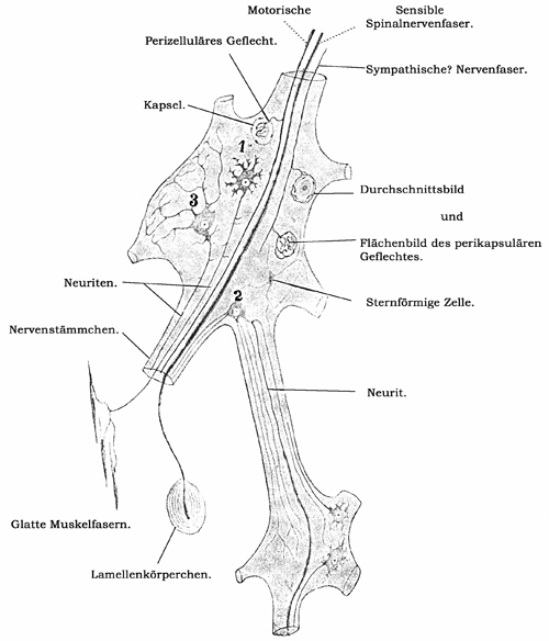 Fig. 167.