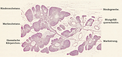 Fig. 186.