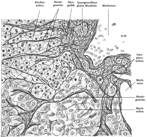 Fig. 192.