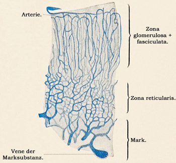Fig. 193.