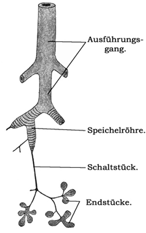 Fig. 197.