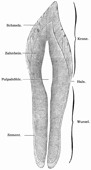 Fig. 207.