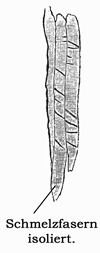 Fig. 219.