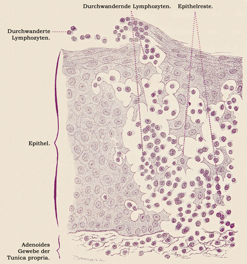 Fig. 226.