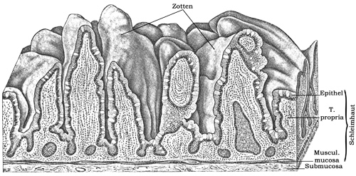 Fig. 234.