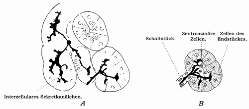 Fig. 251.