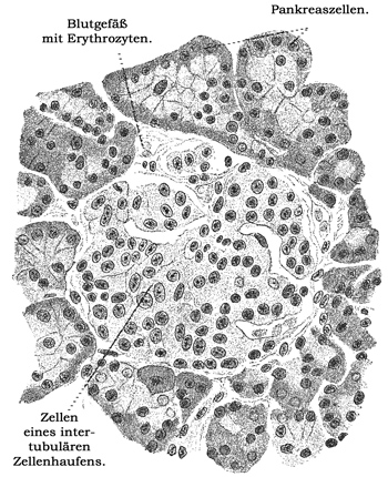 Fig. 252.