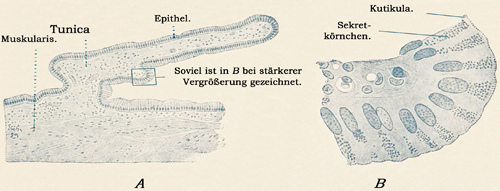 Fig. 257.