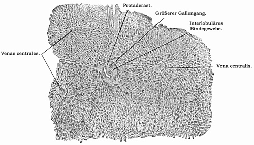 Fig. 258.