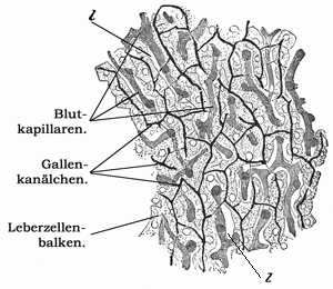Fig. 264.
