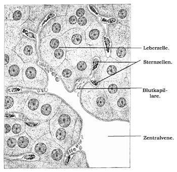 Fig. 266.