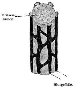 Fig. 269.