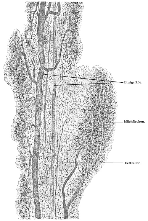 Fig. 273.