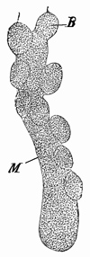 Fig. 274.