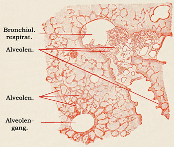 Fig. 281.