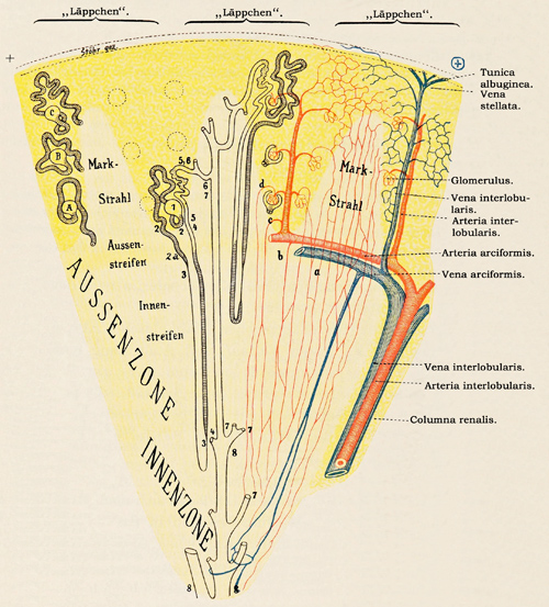 Fig. 285.