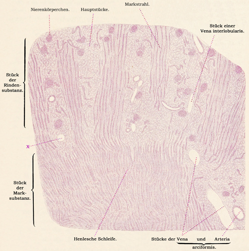 Fig. 286.