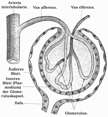 Fig. 287.