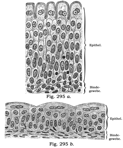 Fig. 295.