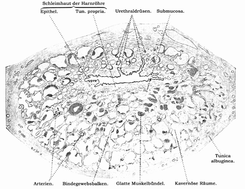 Fig. 309.