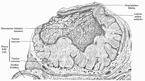 Fig. 318.