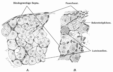 Fig. 319.