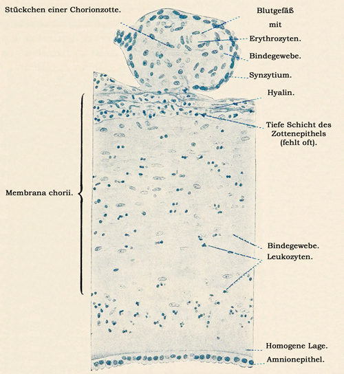 Fig. 323.