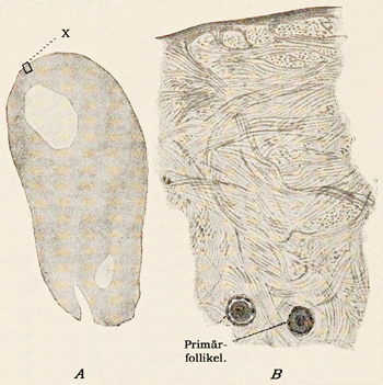 Fig. 327.