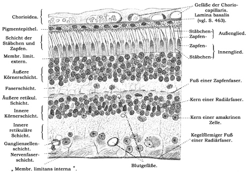 Fig. 362.