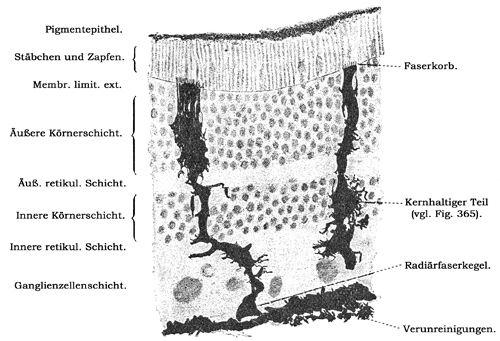 Fig. 363.