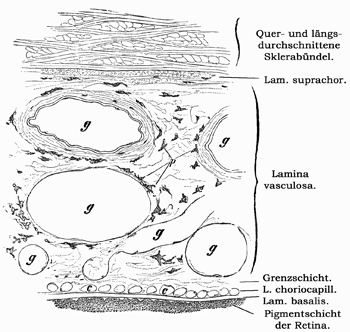Fig. 367.