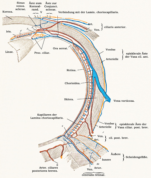 Fig. 375.
