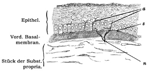 Fig. 376.