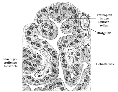 Fig. 378.