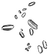 Fig. 379.