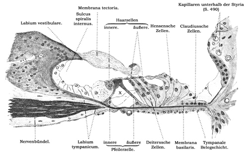 Fig. 387.