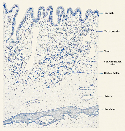 Fig. 392.
