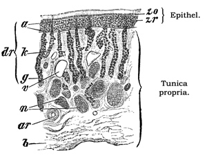 Fig. 395.