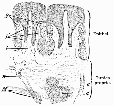 Fig. 397.