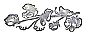 image021