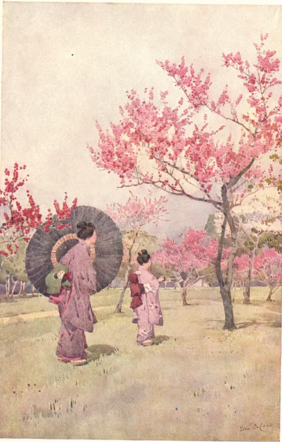 PEACH TREES IN BLOSSOM
