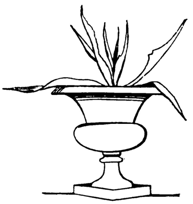 Long leaves in an ornamental urn.